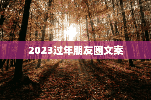 2023过年朋友圈文案(2023过年朋友圈文案简短)